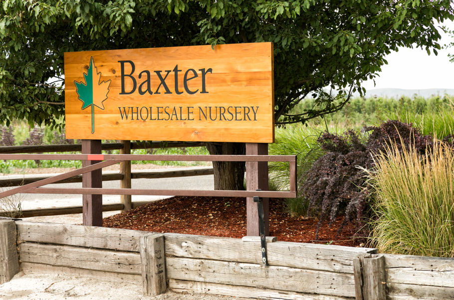 Baxter Nursery_138_2